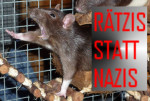 RätzisStattNazis2.jpg